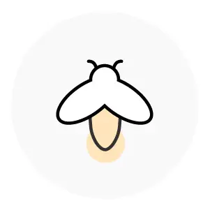 투어/티켓