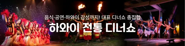 디너쇼 모음