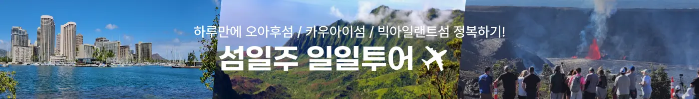 섬일주 일일투어 모음