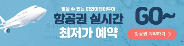 하와이 실시간 항공