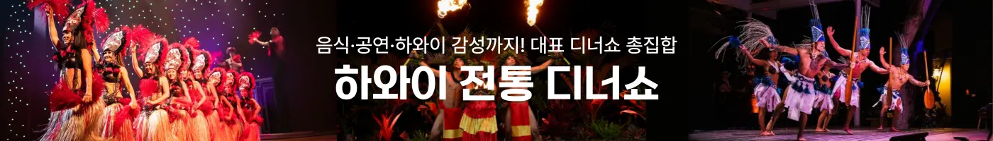 디너쇼 모음