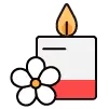 공연/스파