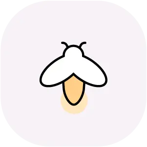 투어/티켓