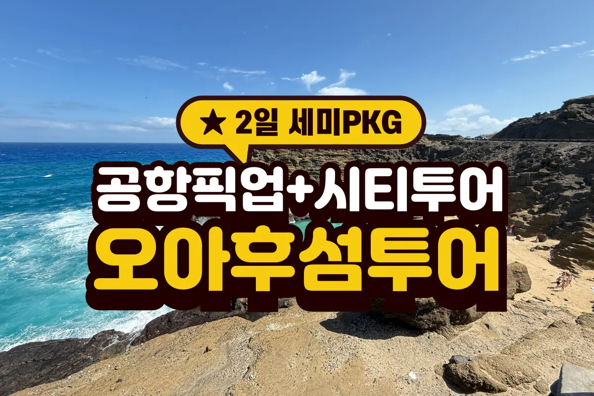 [💛2일관광💛] 공항픽업/시티투어(1일차) + 오아후섬 투어(2일차)