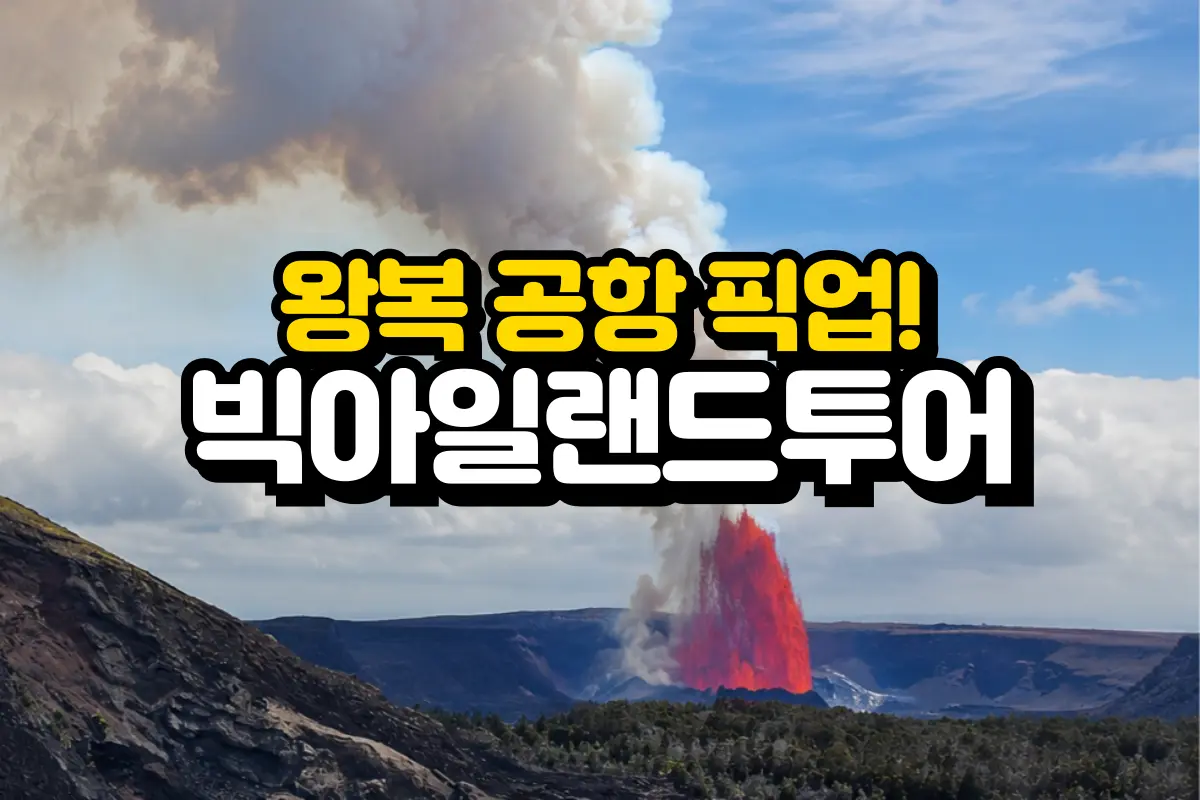 [HOT♥️] 무료 공항 왕복 픽업+빅아일랜드 투어 대표이미지