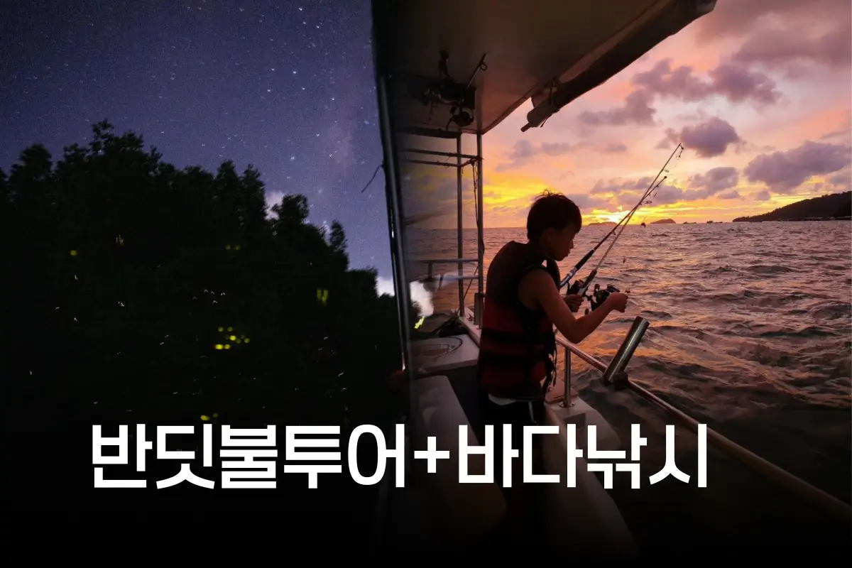 반딧불 투어 + 바다 선상낚시 투어 main image