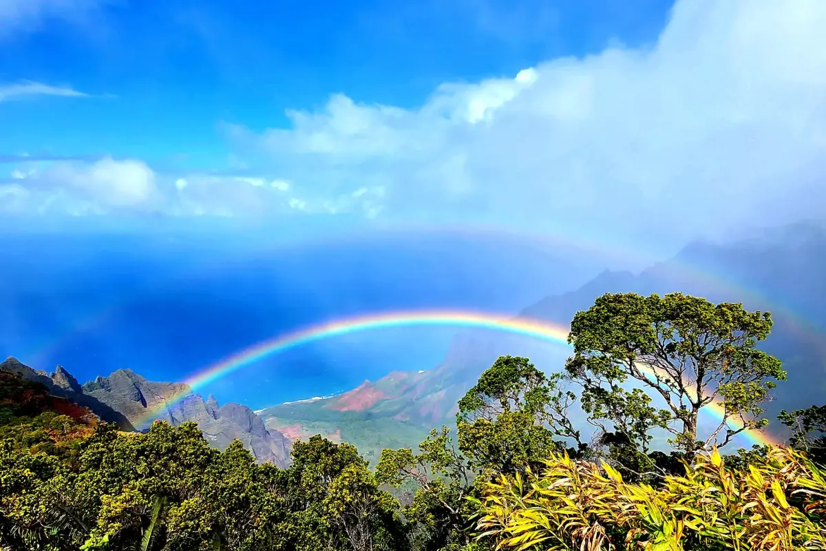 더 레이로우 오토그래프 컬렉션 5박7일+시티투어+오아후섬 일주 대표이미지