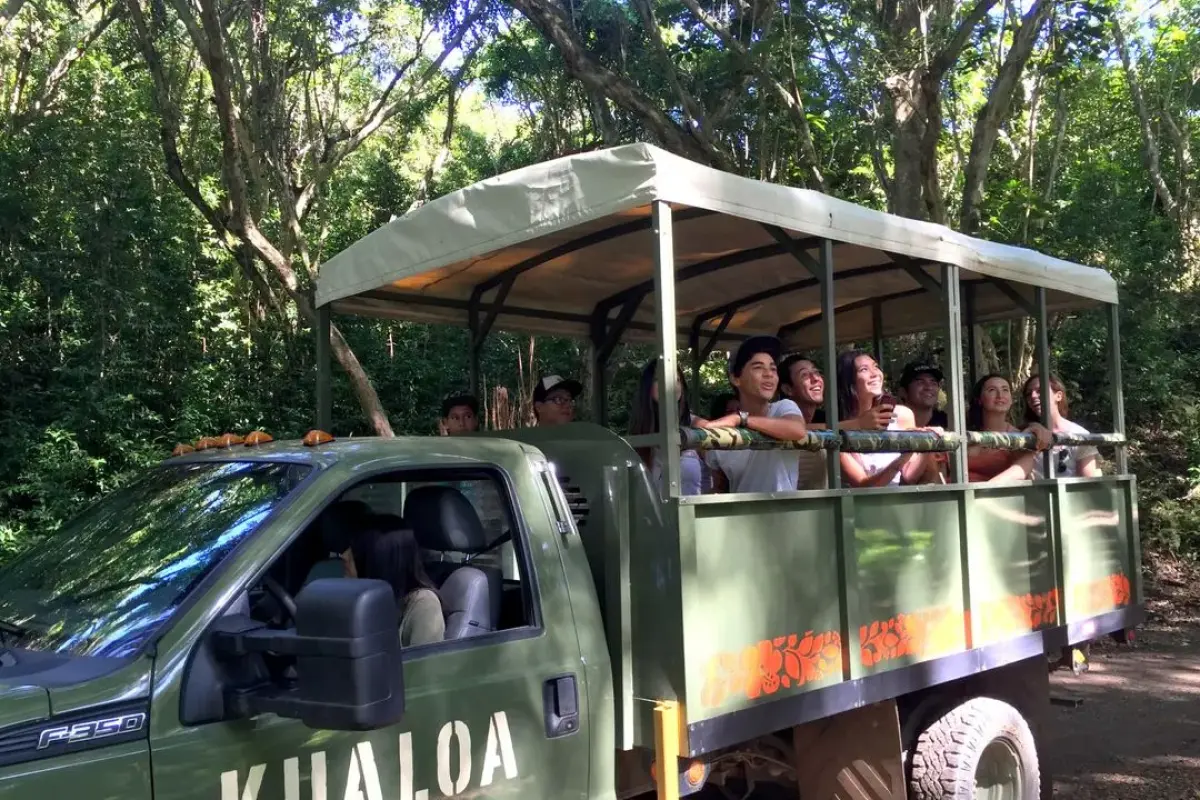 쿠알로아 랜치 정글투어 대표이미지