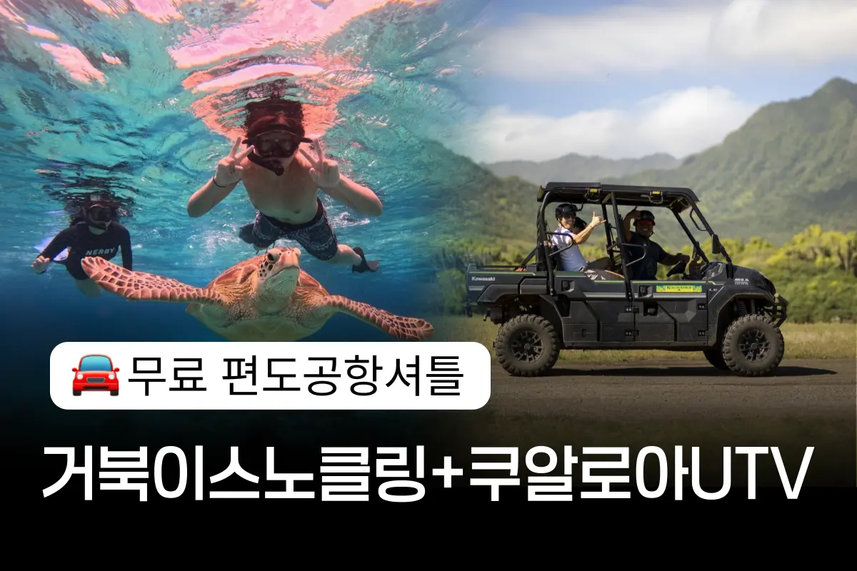 [무료 공항픽업]와이키키 거북이 스노클링+쿠알로아랜치 UTV