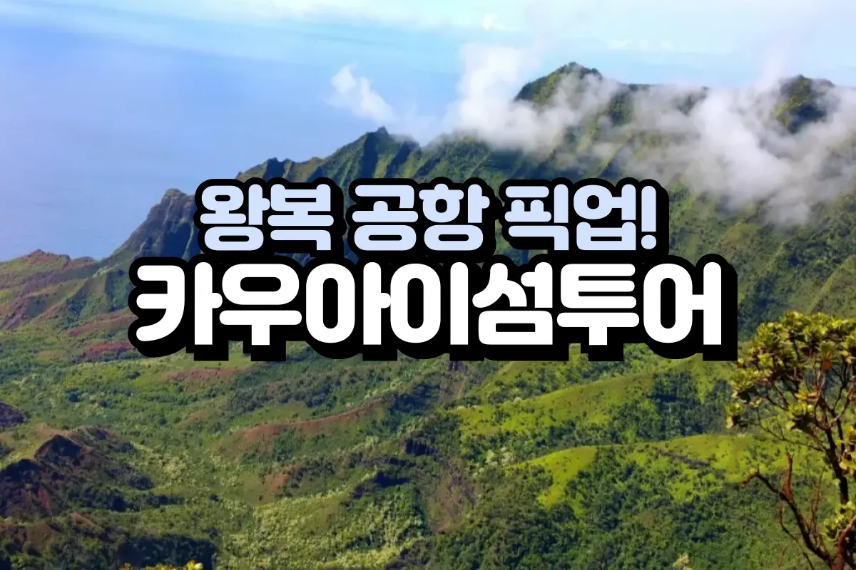 [HOT♥️] 무료 공항 왕복 픽업+카우아이섬 데이투어 대표이미지