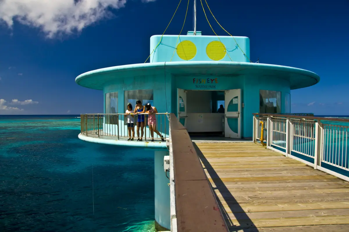tour_photo