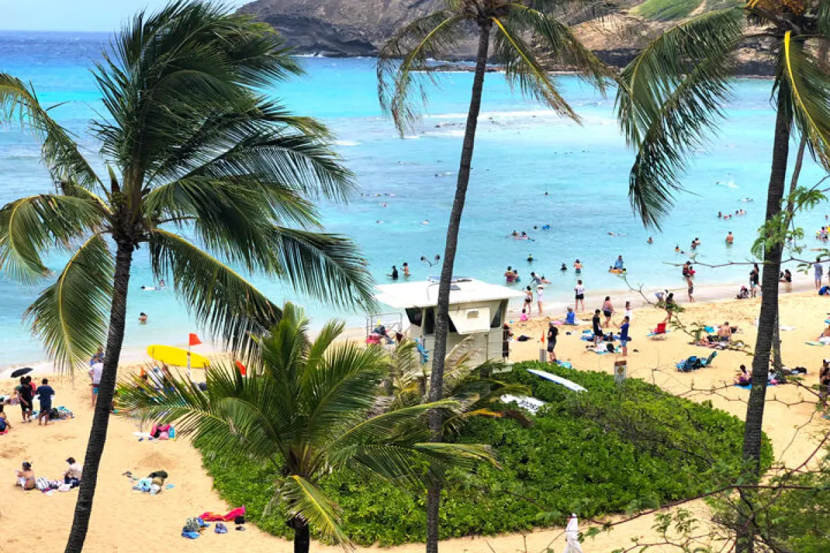 하나우마베이 스노클링 투어 입장권+텐트+장비+테디스버