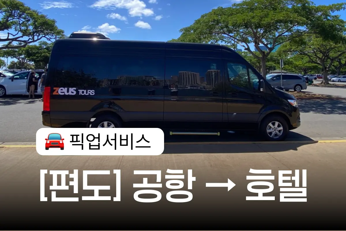 [편도] 호놀룰루 공항 픽업