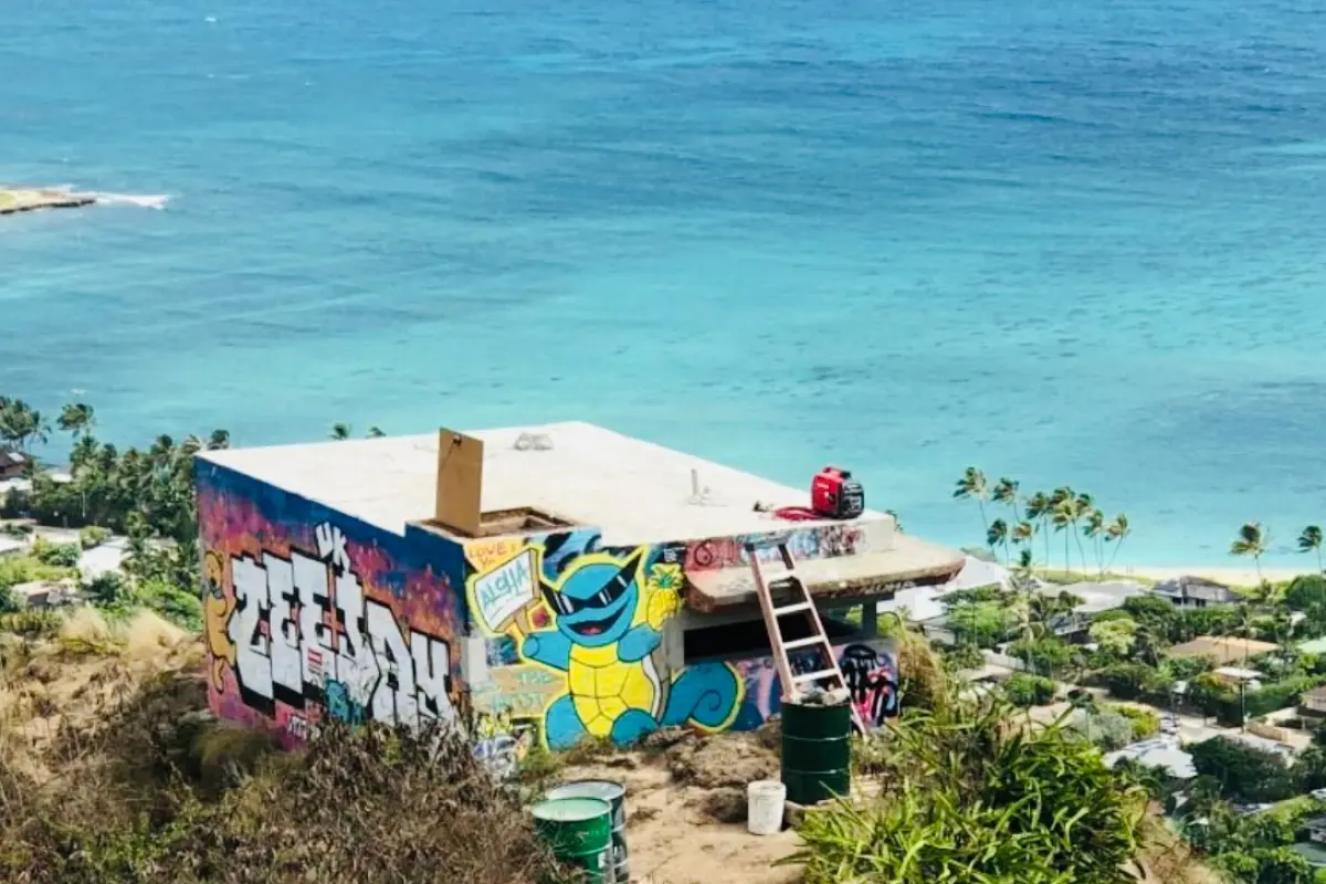 하와이 하나우마베이+필박스 라니카이 하이킹 투어 대표이미지