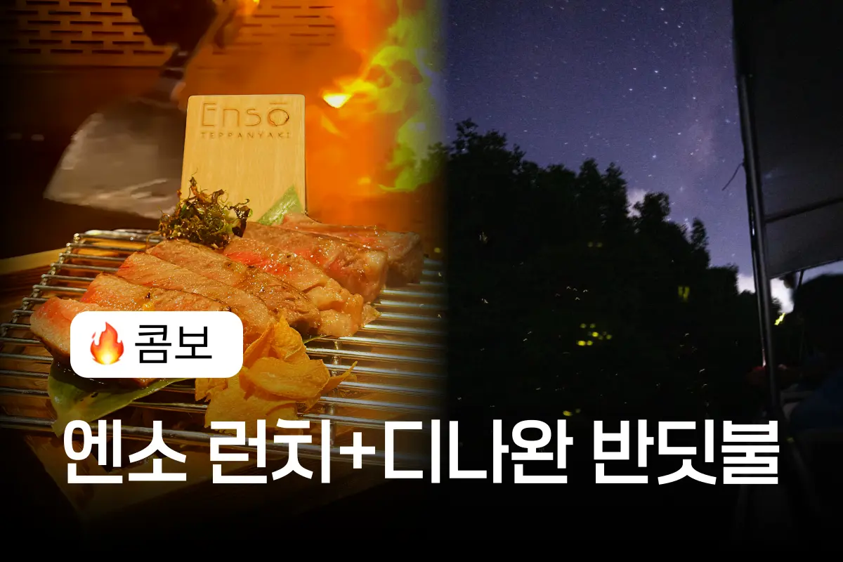 [❤️인기콤보] 엔소 런치 + 디나완 선셋 반딧불 대표이미지