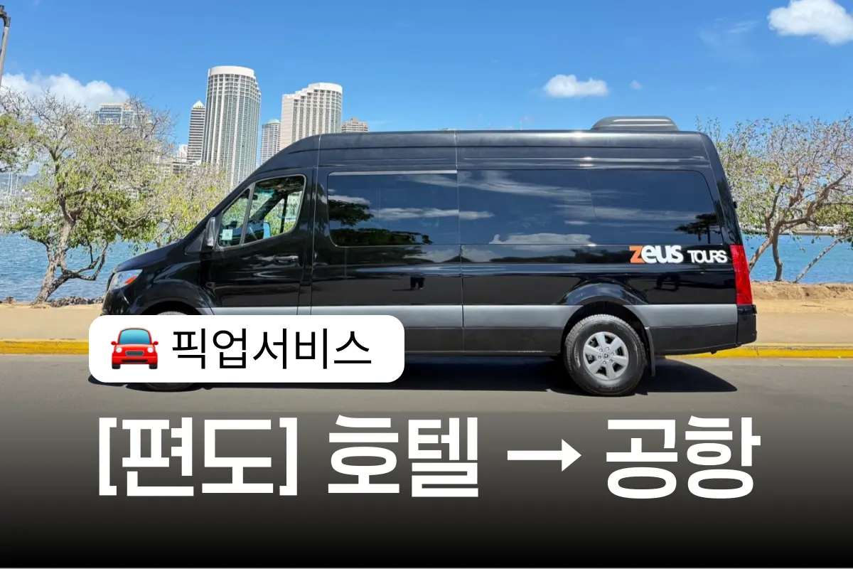 [편도] 호놀룰루 공항 샌딩