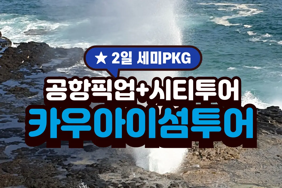 [💙2일관광💙] 공항픽업/시티투어(1일차) + 카우아이섬 투어(2일차)