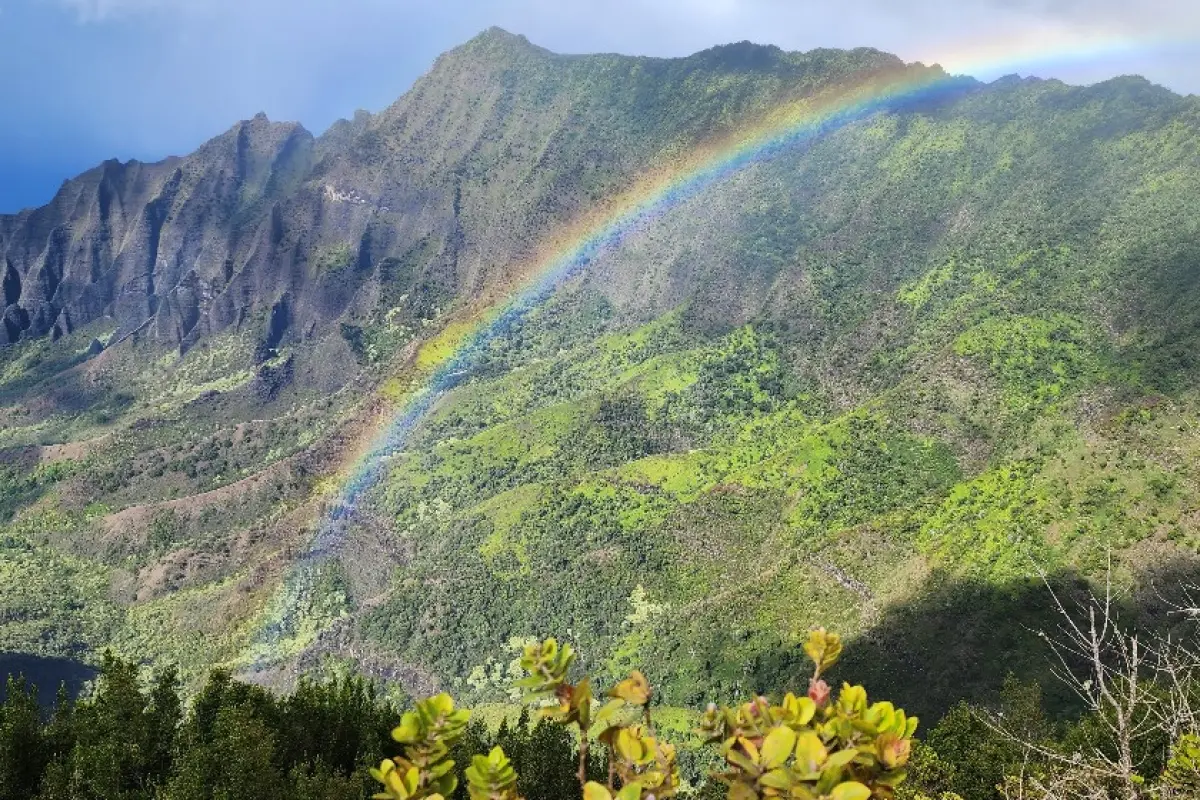 ★무료 공항 픽업+카우아이섬 데이투어