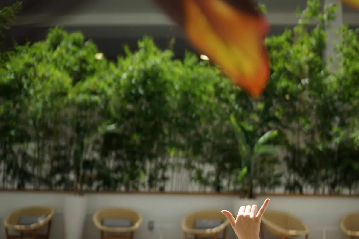 더 레이로우 오토그래프 컬렉션 5박7일 패키지 대표이미지