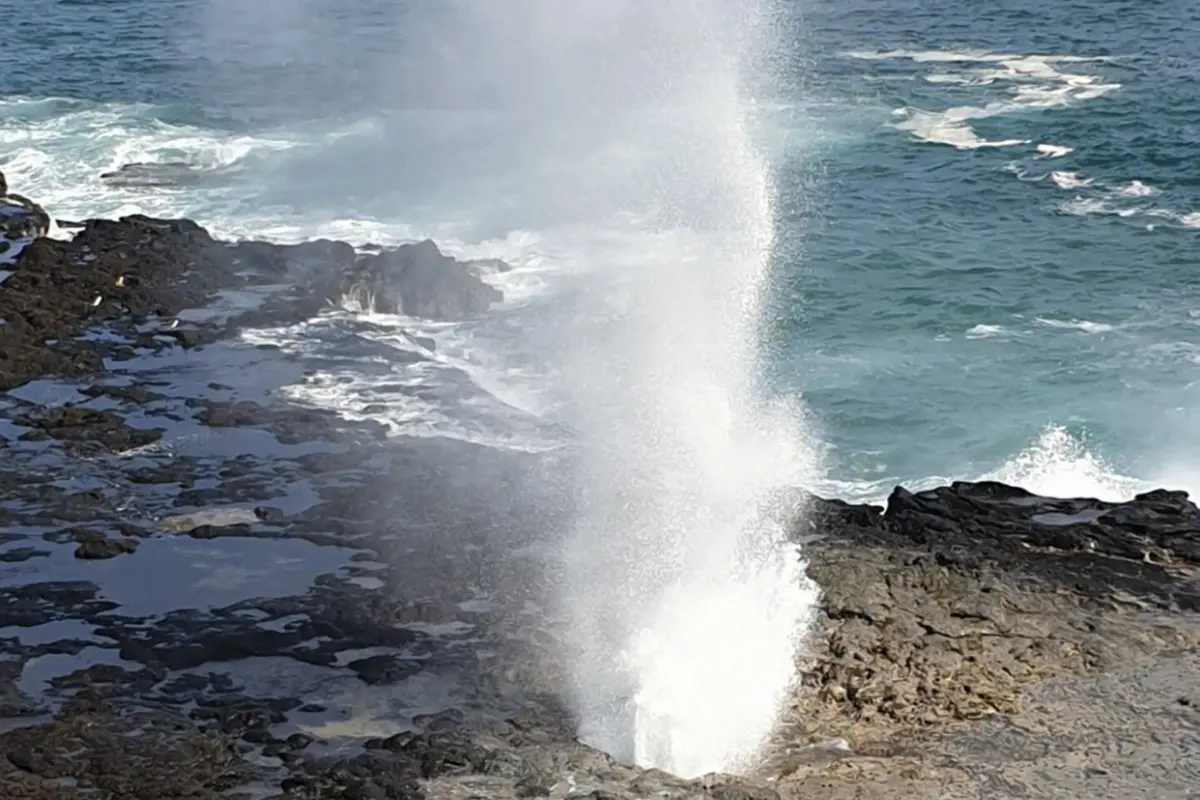 tour_photo