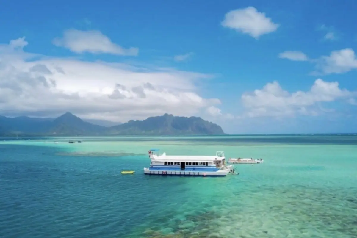 오아후 샌드바 & 해양스포츠 투어