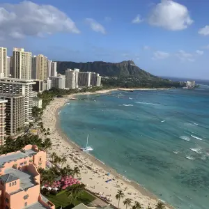 와이키키 호텔 픽업