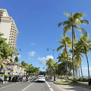 🚐 와이키키 호텔 복귀 안내