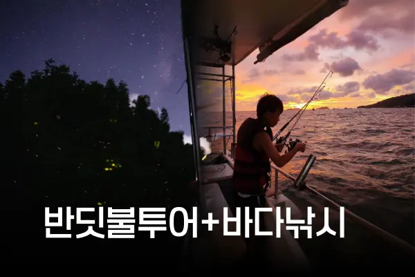 반딧불 투어 + 바다 선상낚시 투어