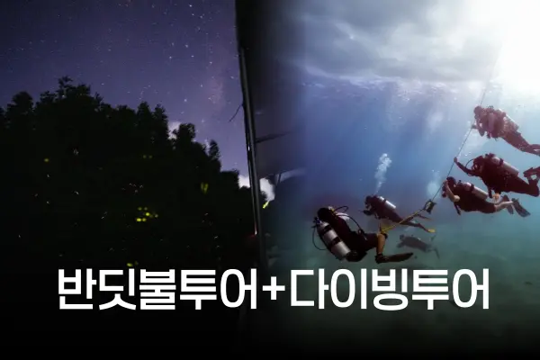 디나완 선셋 반딧불 + 다이빙 투어