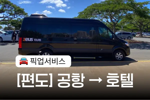 [편도] 호놀룰루 공항 픽업