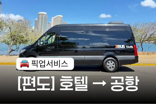 [편도] 호놀룰루 공항 샌딩